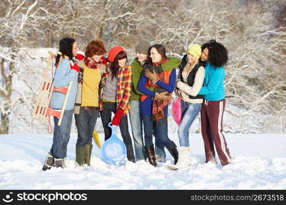 Group Of Teenage Friends Having Fun In Snowy Landscape