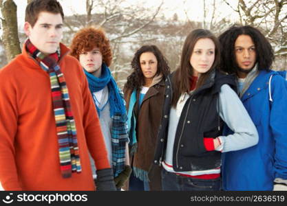 Group Of Teenage Friends Having Fun In Snowy Landscape Wearing Ski Clothing