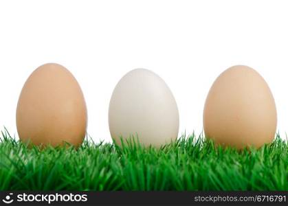 Group of three fresh eggs on grass.