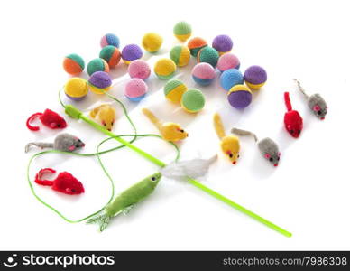 group of toys for cat in front of white background