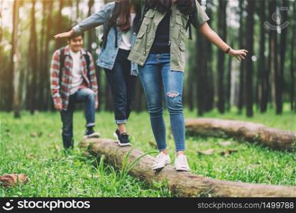 Group of traveler walking on the log while hiking in the forest