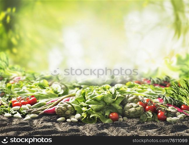 Group of various harvesting organic vegetables on soil at sunny summer garden green nature background. Veggies growing. Eco food. Tomato, lettuce, root vegetables,artichokes, asparagus,herbs,carrots