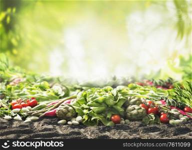 Group of various harvesting organic vegetables on soil at sunny summer garden green nature background. Veggies growing. Eco food. Tomato, lettuce, root vegetables,artichokes, asparagus,herbs,carrots