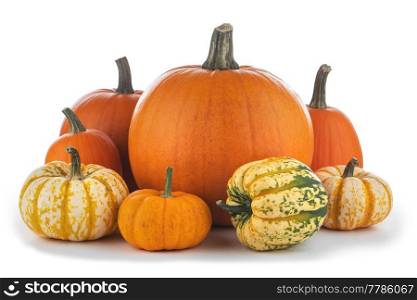 Group of various kinds of pumpkins isolated on white background. Various pumpkins on white