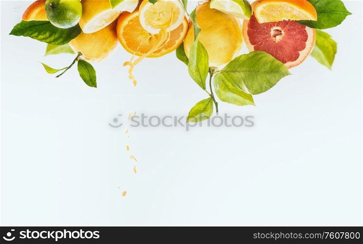 Group of various organic citrus fruits with halves, slices, green leaves and juice splash at white background with text. Healthy natural immun boosters. Refreshing ingredients. Antioxidant. Border