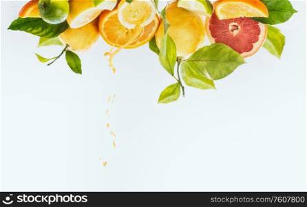 Group of various organic citrus fruits with halves, slices, green leaves and juice splash at white background with text. Healthy natural immun boosters. Refreshing ingredients. Antioxidant. Border