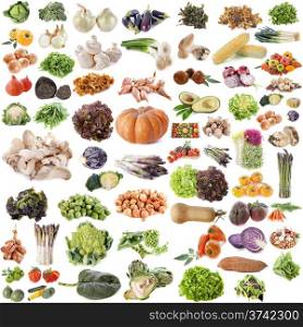 group of vegetables in front of white background