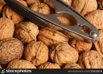 Group of walnuts with nutcracker resting on top.