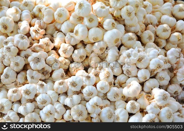Group of white garlic stacks texure background