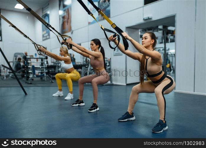 Group of women doing exercise in gym, back view. People on fitness workout in sport club, athletic girls in sportswear on training indoors. Group of women doing exercise in gym, back view