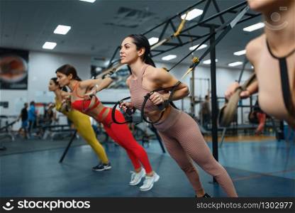 Group of women doing fit exercise in gym. People on fitness workout in sport club, athletic girls in sportswear on training indoors. Group of women doing fit exercise in gym