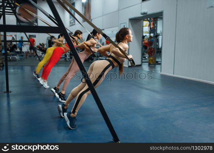 Group of women doing fit exercise in gym. People on fitness workout in sport club, athletic girls in sportswear on training indoors. Group of women doing fit exercise in gym