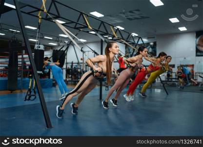 Group of women doing fit exercise in gym. People on fitness workout in sport club, athletic girls in sportswear on training indoors. Group of women doing fit exercise in gym