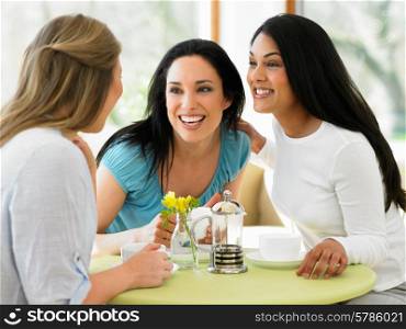 Group Of Women Meeting In Cafe