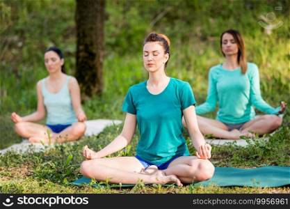 Group of women practicing yoga. Lotus position, yoga class
