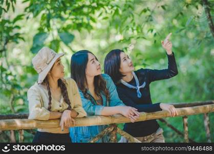 group of young asian women standing on bamboo brid≥are looking beautiful nature whi≤c&ing in forest with hapπ≠ss to≥ther