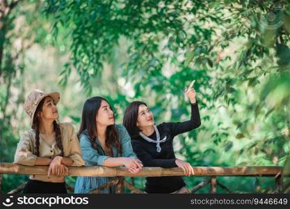 group of young asian women standing on bamboo bridge are looking beautiful nature while c&ing in forest with happiness together
