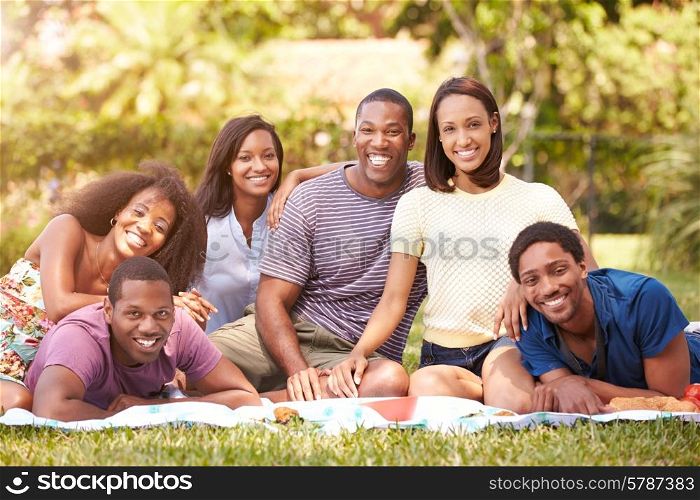 Group Of Young Friends Having Picnic Together