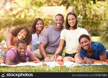 Group Of Young Friends Having Picnic Together
