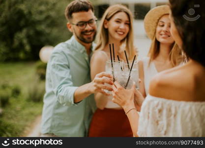 Group of young people cheering with fresh lemonade in the garden