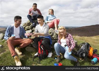 Group Of Young People Hiking In Countryside