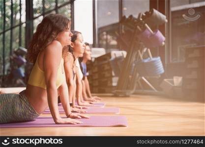 Group of young people in sportswear practicing yoga cobra pose on yoga mats in the gym, Concept of relaxation and meditation