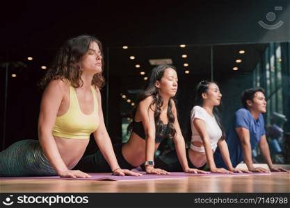 Group of young people in sportswear practicing yoga cobra pose on yoga mats in the gym, Concept of relaxation and meditation