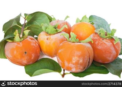 group ripe persimmons isolated on white background
