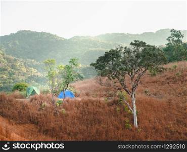 group tent camping on meadow among mountains. camping adventure concept.