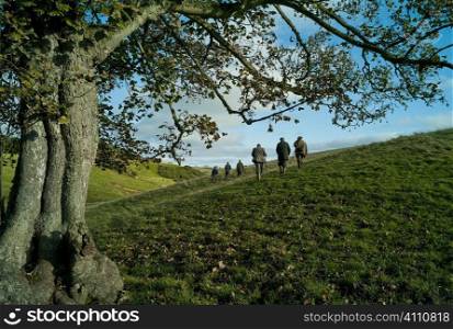 Grouse hunters on hillside in Berwickshire, Scotland