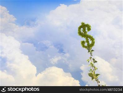 Grow your income. Money income concept with green sprout growing up