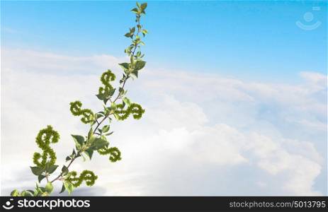 Grow your income. Money income concept with green sprout growing up