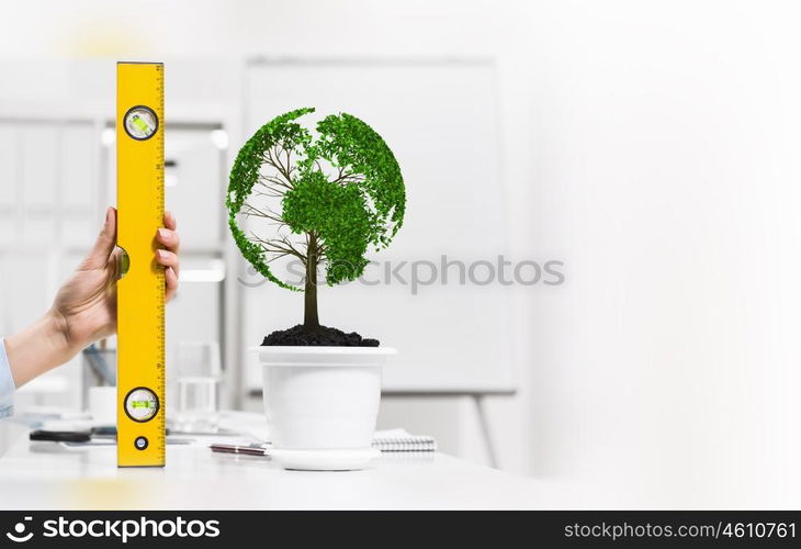 Growing income. Close up of human hand measuring plant in pot with ruler