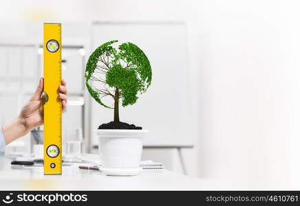 Growing income. Close up of human hand measuring plant in pot with ruler