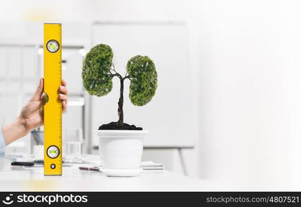 Growing income. Close up of human hand measuring plant in pot with ruler