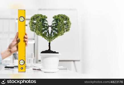 Growing income. Close up of human hand measuring plant in pot with ruler