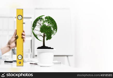 Growing income. Close up of human hand measuring plant in pot with ruler