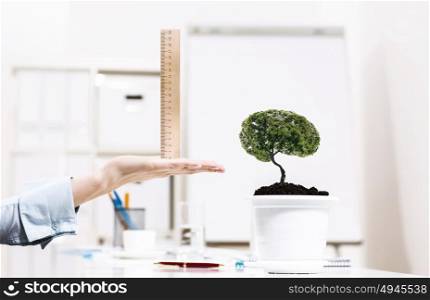 Growing income. Close up of human hand measuring plant in pot with ruler