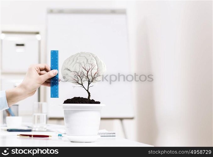 Growing income. Close up of human hand measuring plant in pot with ruler