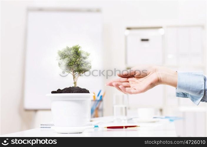 Growing success. Close up of human hand and plant in pot