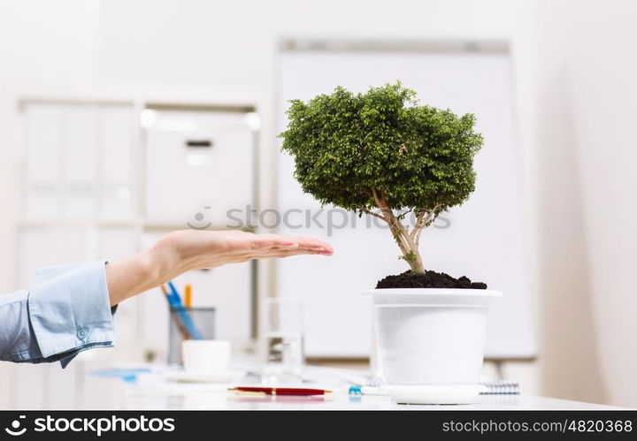 Growing success. Close up of human hand and plant in pot