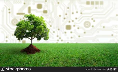 Growing tree on green grass with soil. Nature with Digital Convergence and Technological Convergence. Green Computing, Green Technology, Green IT, csr, and IT ethics Concept.