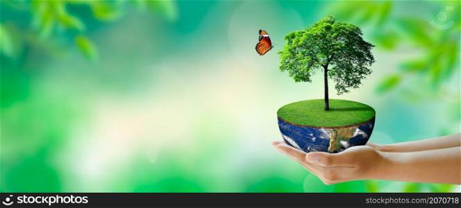 Growing tree on half globe in hand with butterfly. Green background with bokeh. World mental health and World earth day. Elements furnished by NASA. Saving environment and World Ecology Concept.