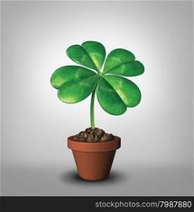 Growing your luck as a four leaf clover plant in a flower pot as a symbol for success and prosperity as a green lucky charm icon of good luck and fortune for opportunity and healthy growth.