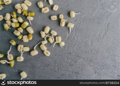 Grown mung beans sprouts spread over grey background, ready to cook. Free space in left corner for your information. View from above