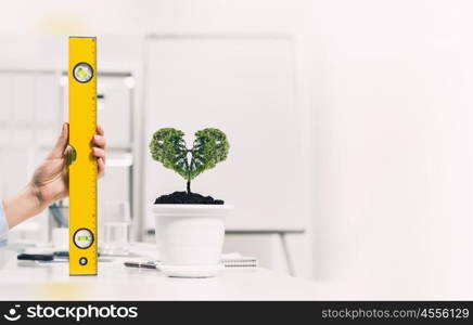 Growth and income. Close up of human hand measuring plant in pot with ruler