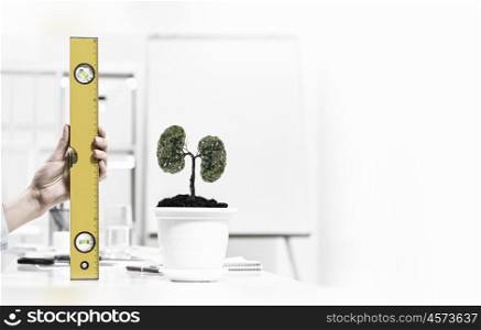 Growth and income. Close up of human hand measuring plant in pot with ruler
