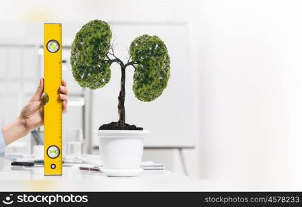 Growth and income. Close up of human hand measuring plant in pot with ruler