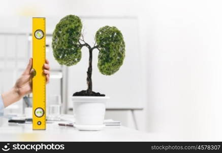 Growth and income. Close up of human hand measuring plant in pot with ruler