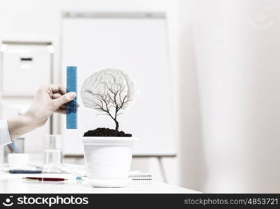 Growth and income. Close up of human hand measuring plant in pot with ruler